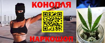 прущие грибы Можга