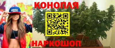 прущие грибы Можга