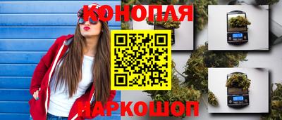 прущие грибы Можга