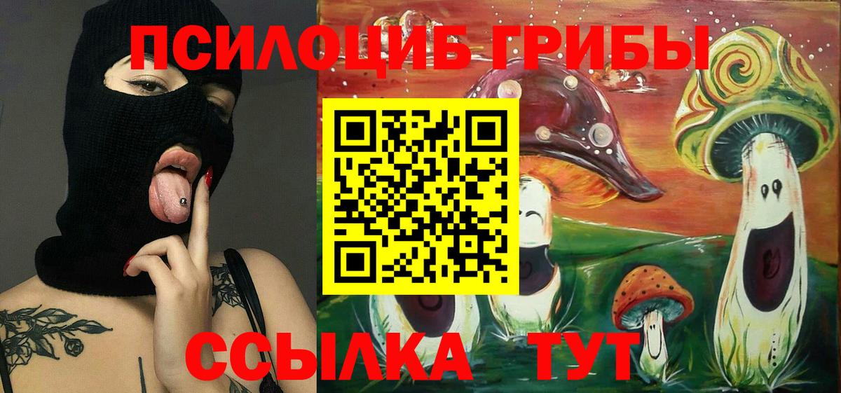 Псилоцибиновые грибы Cubensis Ялта