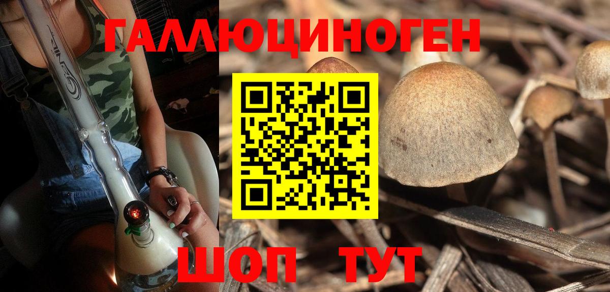Псилоцибиновые грибы Cubensis  Галлюциногенные грибы GOLDEN TEACHER  Вход с VPN  сколько стоит  Ялта 